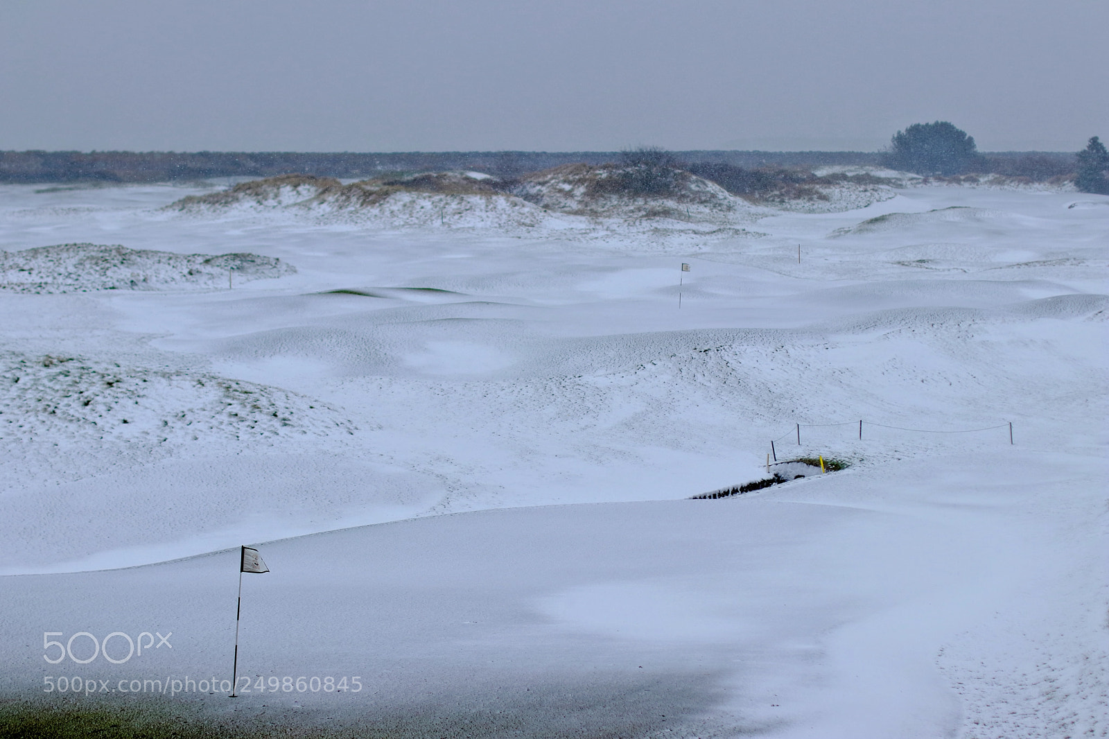 Canon EOS 80D sample photo. Golf course under snow photography
