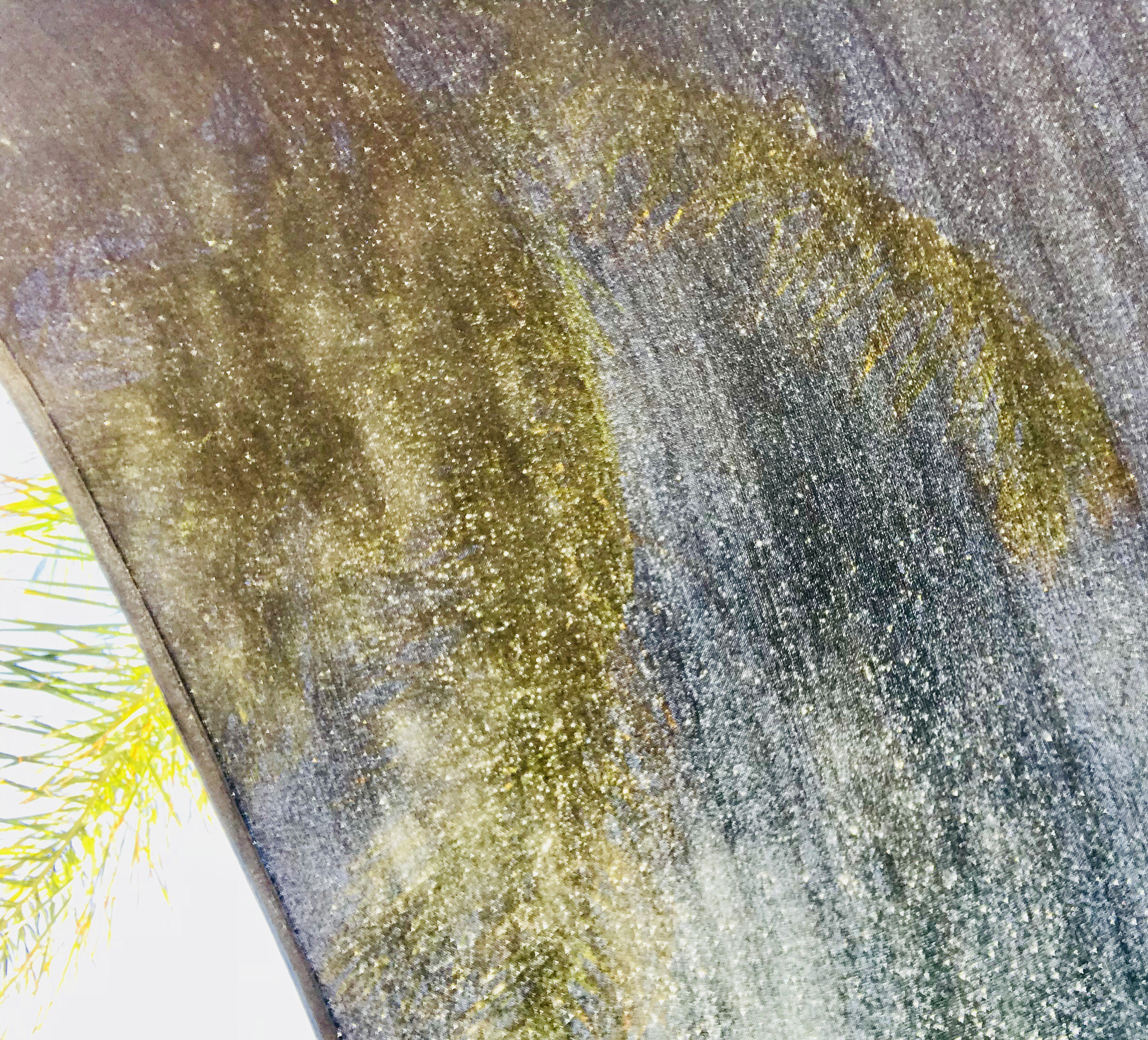 Apple iPad Pro (10.5-inch) sample photo. Poolside photography