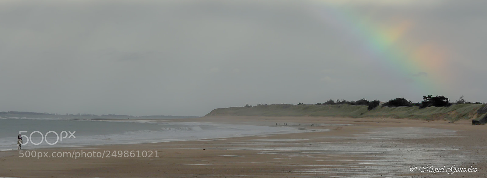 Nikon D700 sample photo. Apres la pluie photography