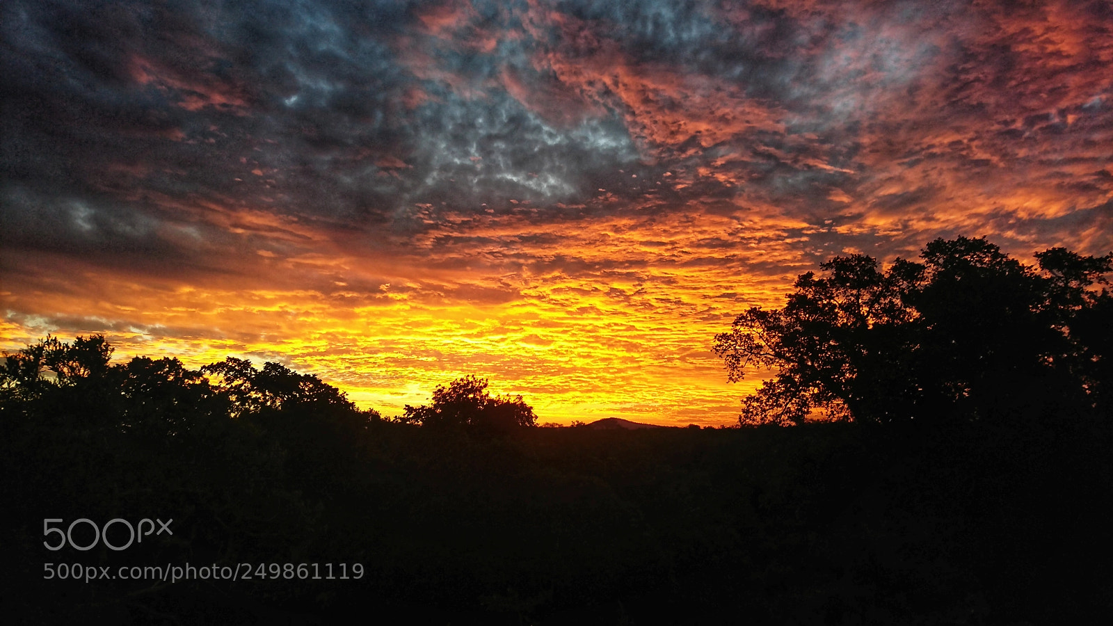Sony Xperia XZ sample photo. Burning sky photography