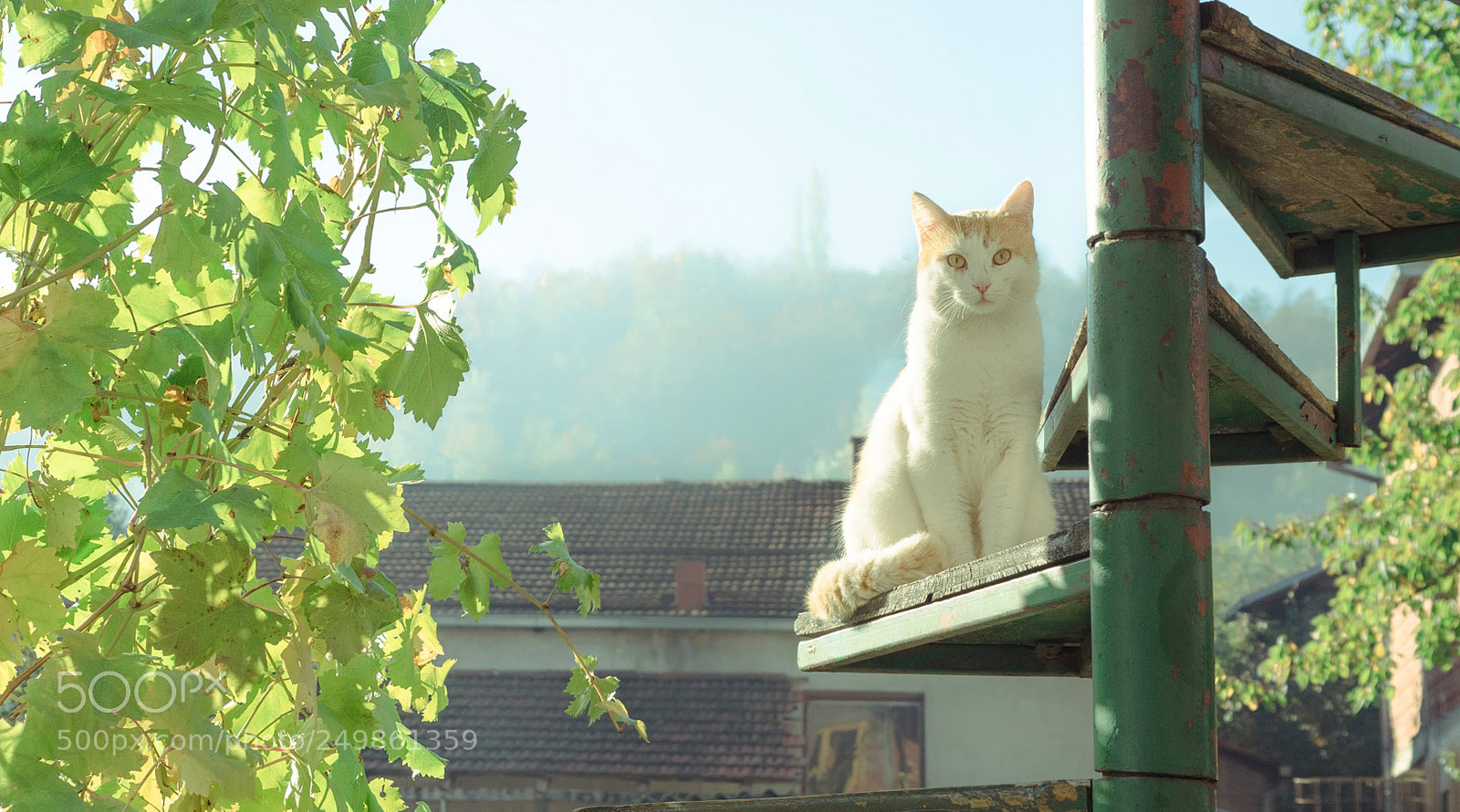 Panasonic Lumix DMC-GH4 sample photo. Gg's watchtower photography