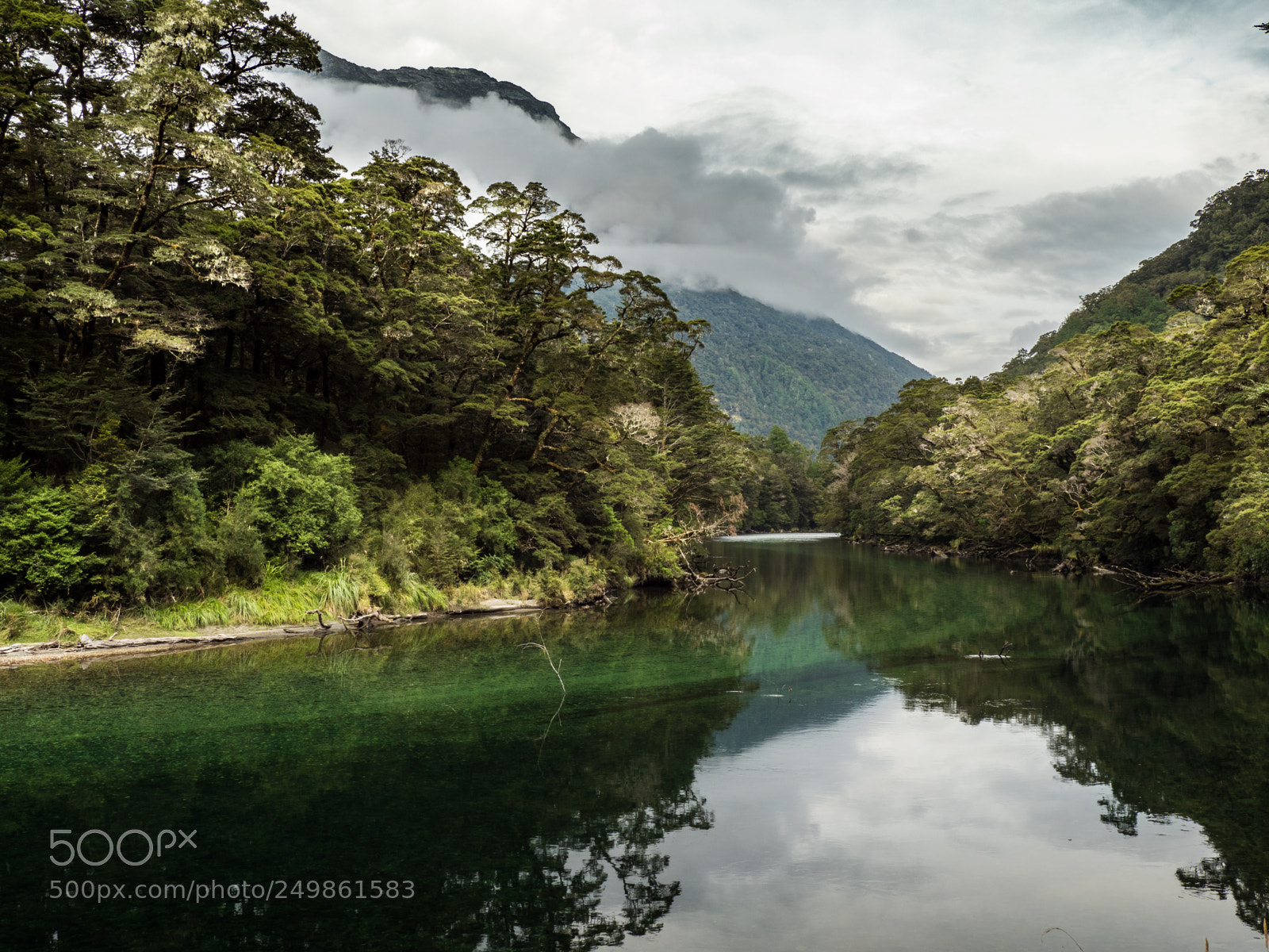 Olympus OM-D E-M1 Mark II sample photo. Clinton river fiordland national photography
