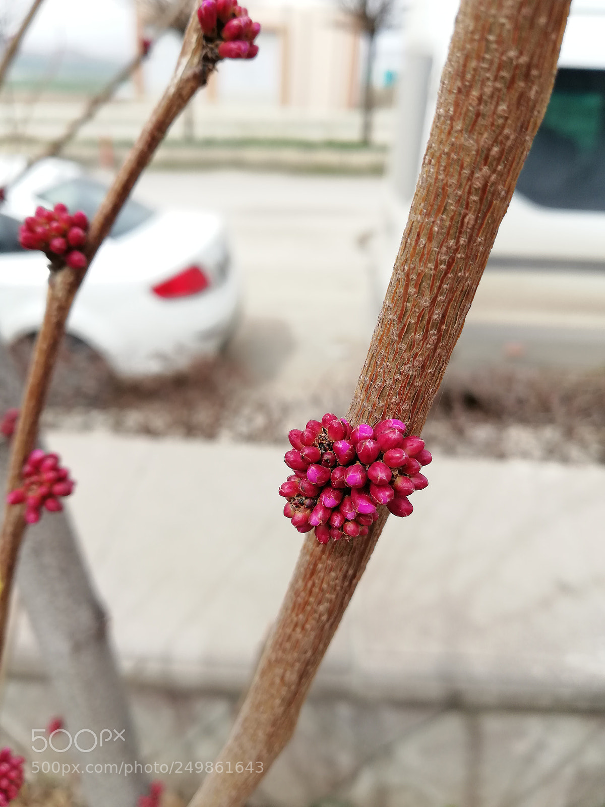 HUAWEI Mate 10 Lite sample photo. Untitled photography