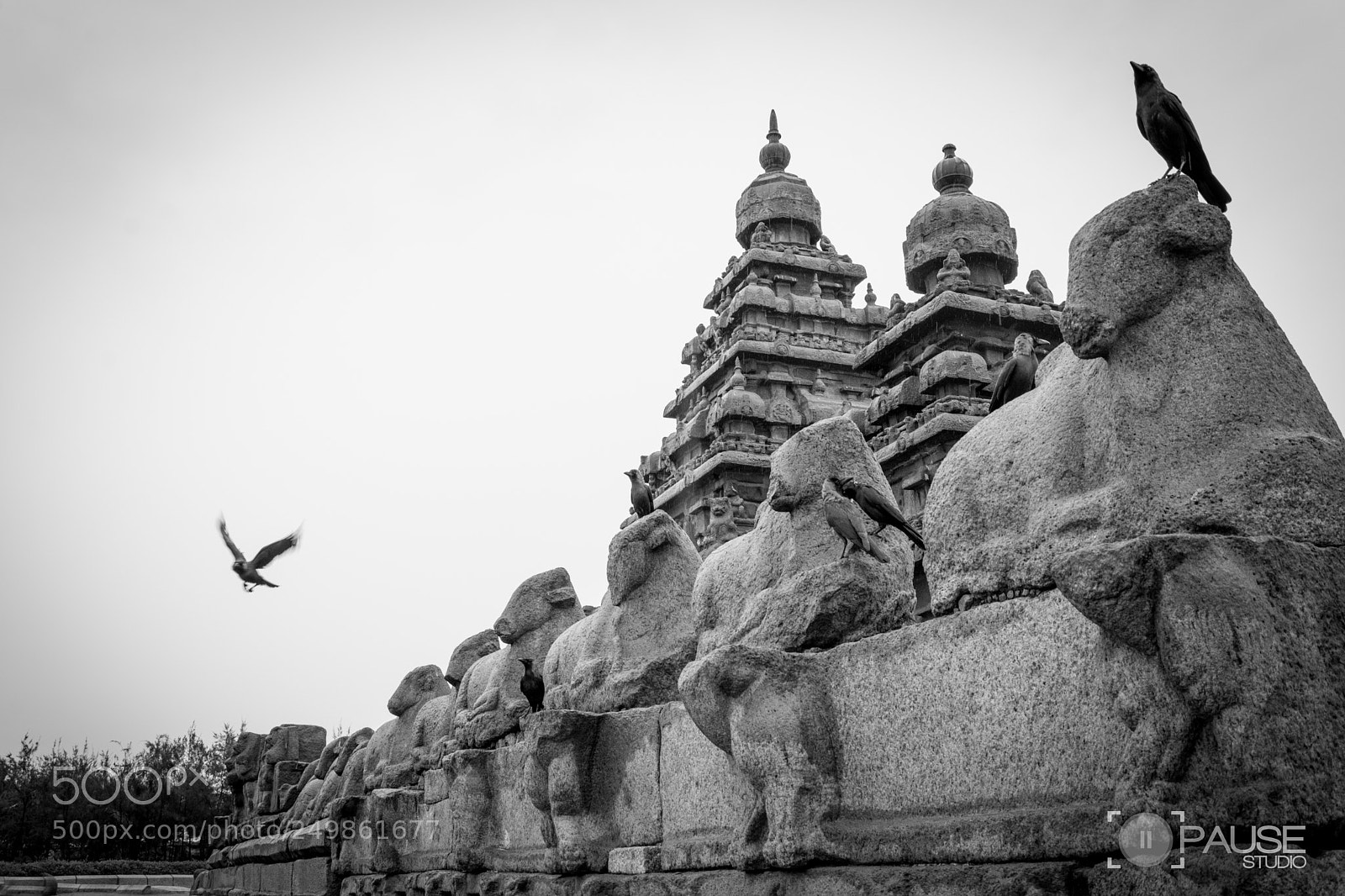 Nikon D7100 sample photo. Shore temple photography