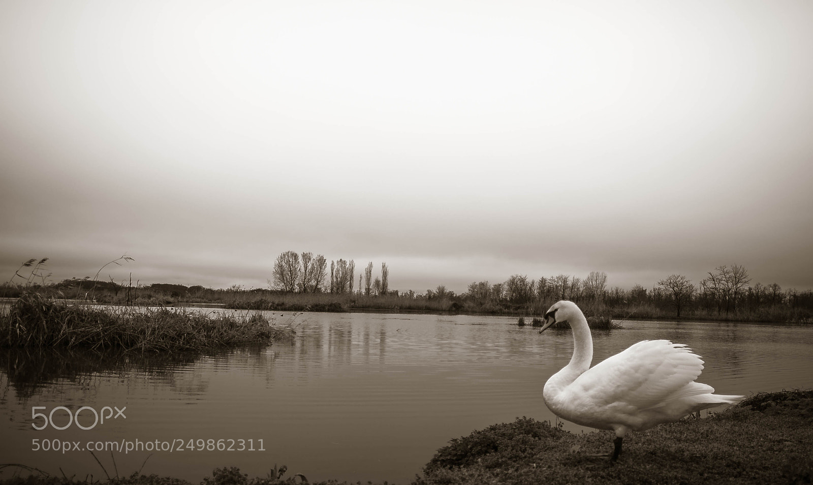 Nikon D90 sample photo. Peace and nature photography