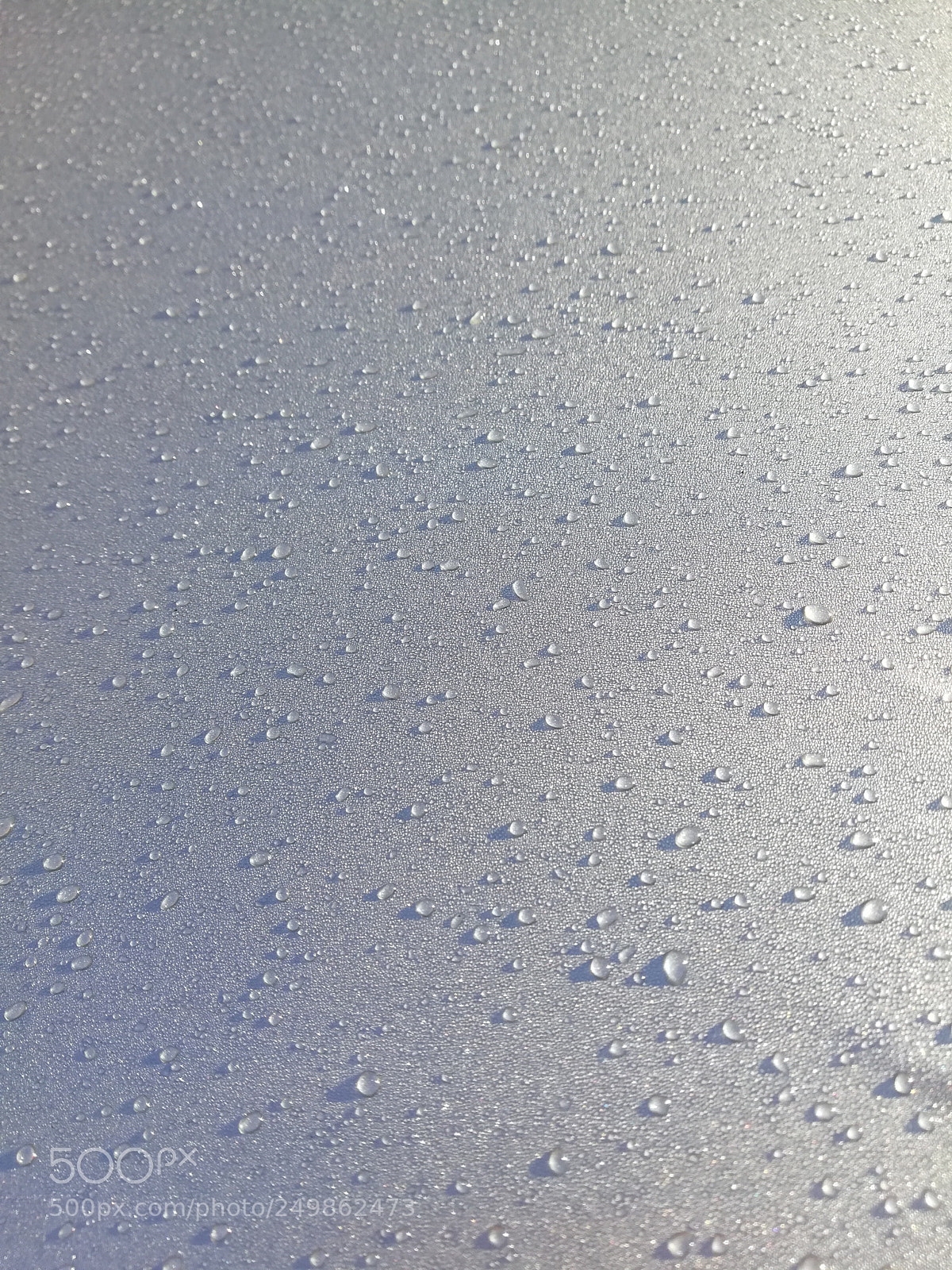 HUAWEI nova 2i sample photo. Morning dew photography