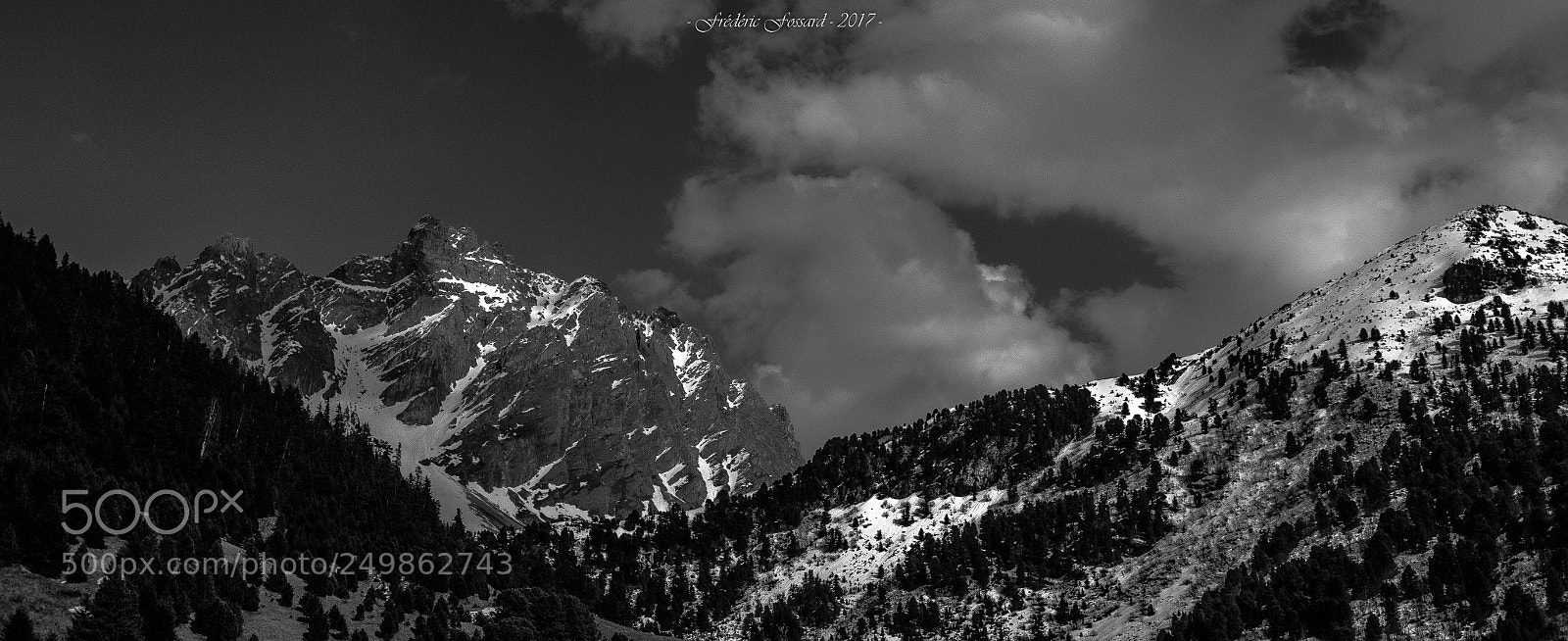 Canon EOS 70D sample photo. Dramatic spring photography