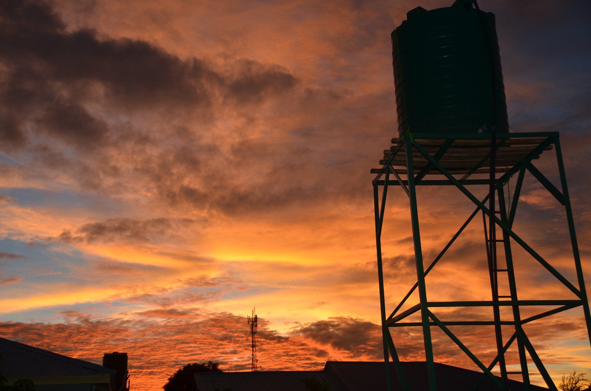 Nikon D7000 sample photo. Early morning sun photography