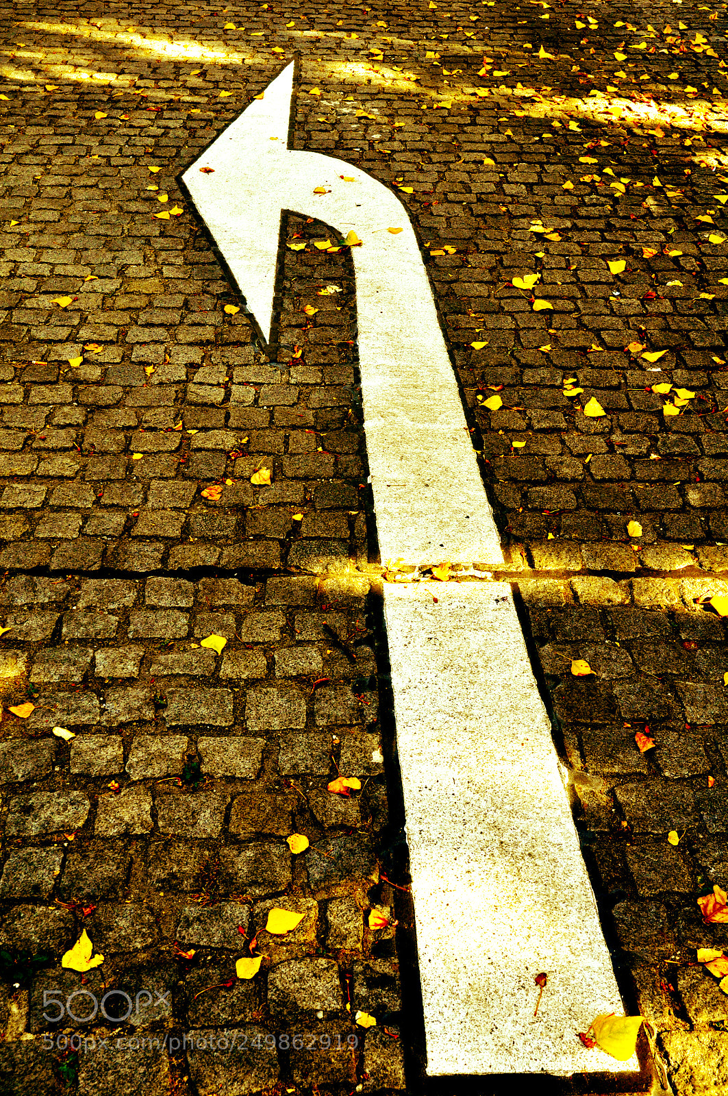 Nikon D90 sample photo. Arrow of time? photography