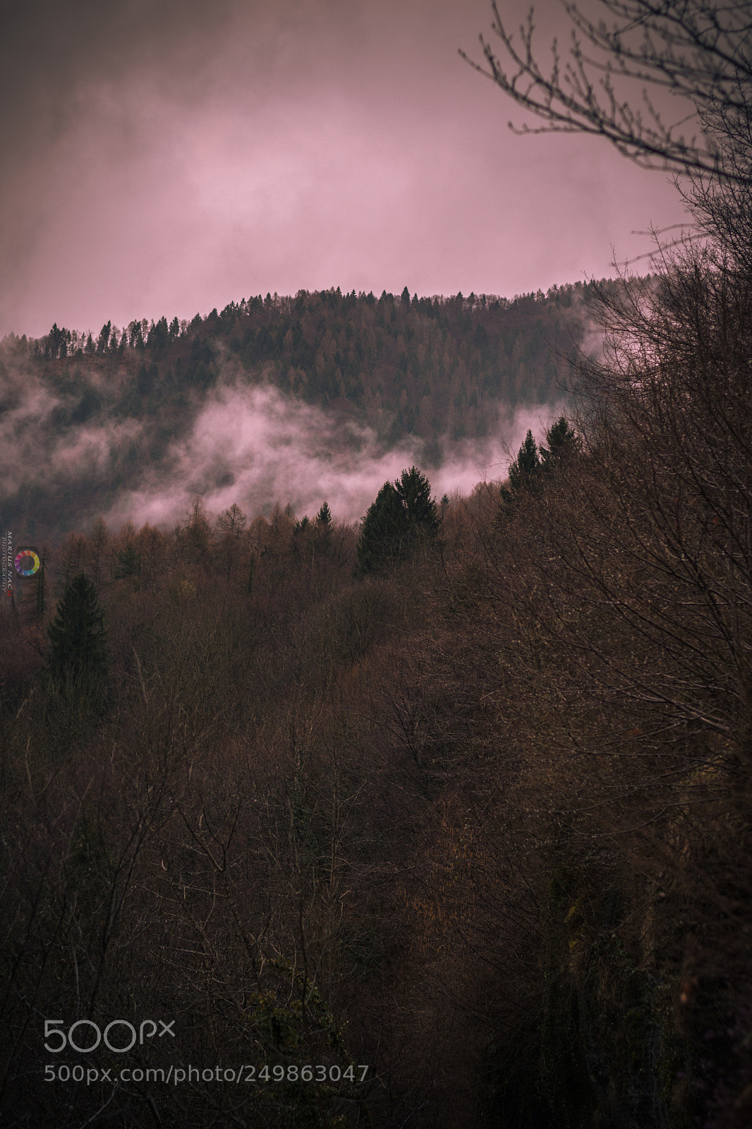 Nikon D7200 sample photo. Untitled photography