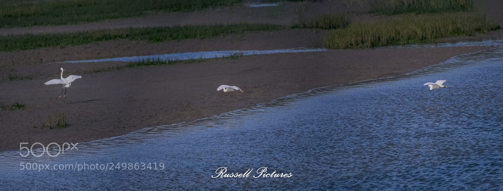Nikon D3400 sample photo. A perfect landing. photography