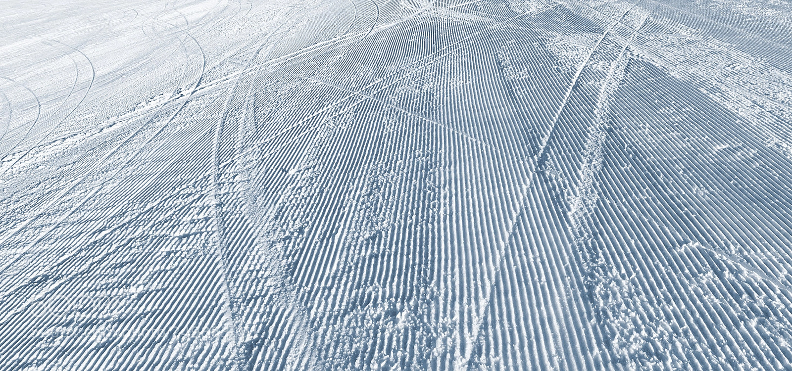 HUAWEI Honor 8 sample photo. Morning on the ski photography