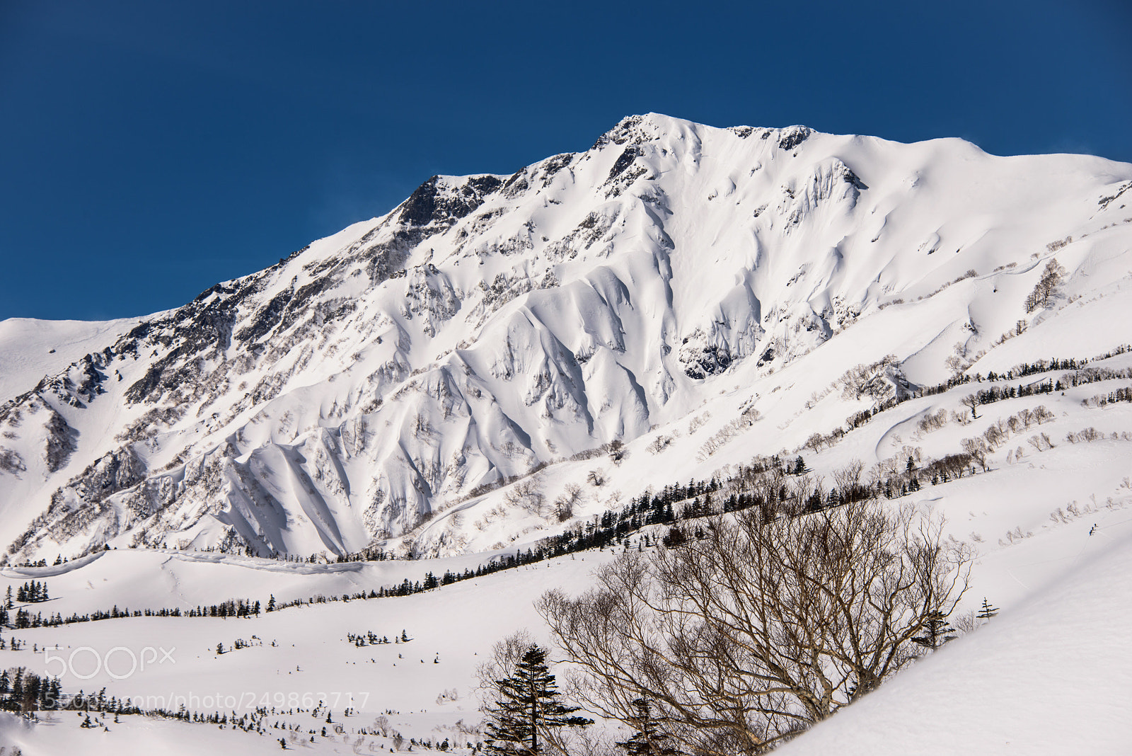 Nikon D800 sample photo. Mt.shiroumadake (白馬岳) photography