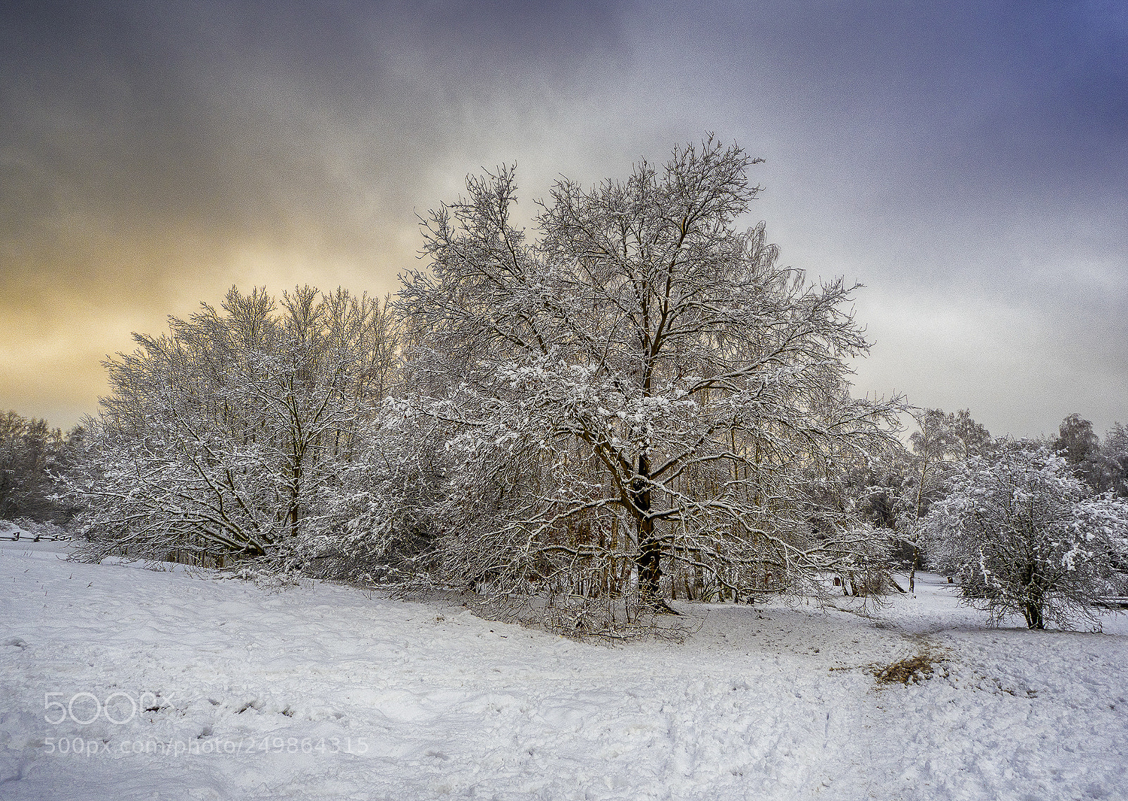 Olympus OM-D E-M5 II sample photo. Winter dusk photography