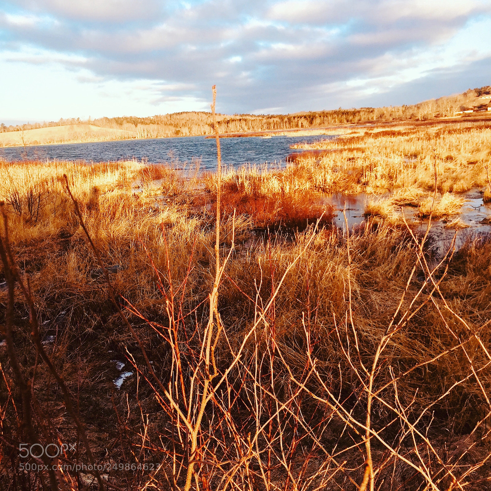 Apple iPhone 6 sample photo. Cold and sunny photography