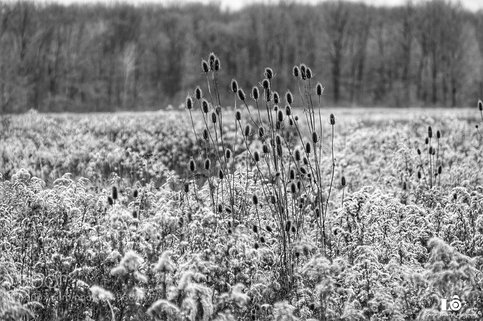 Panasonic Lumix DMC-FZ1000 sample photo. Fields in autumn b photography