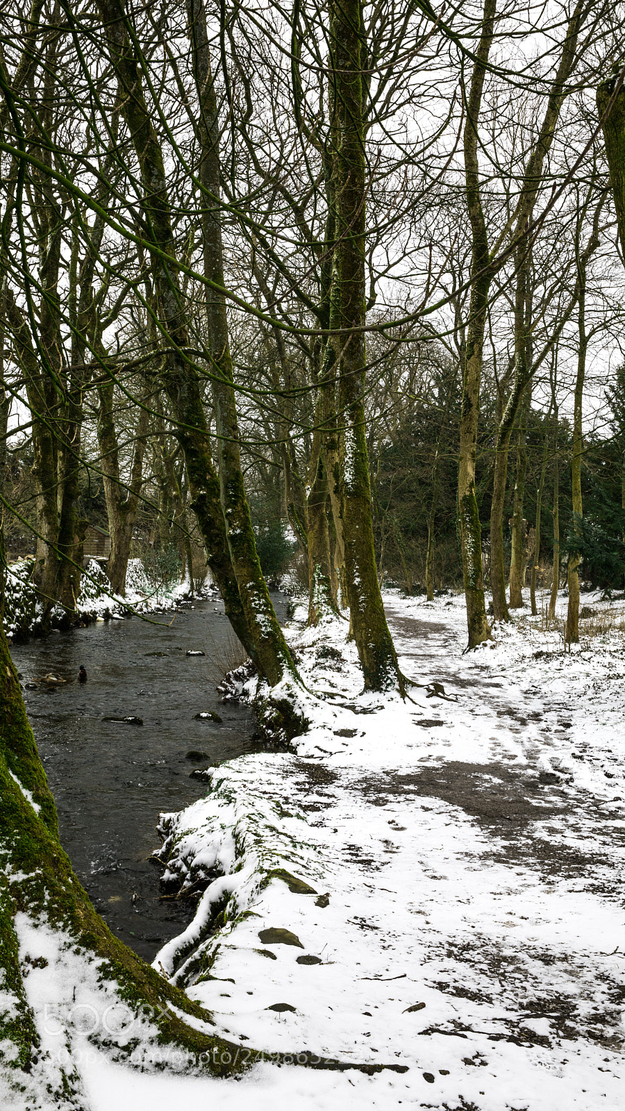 Canon EOS 5D Mark IV sample photo. Malham cove photography