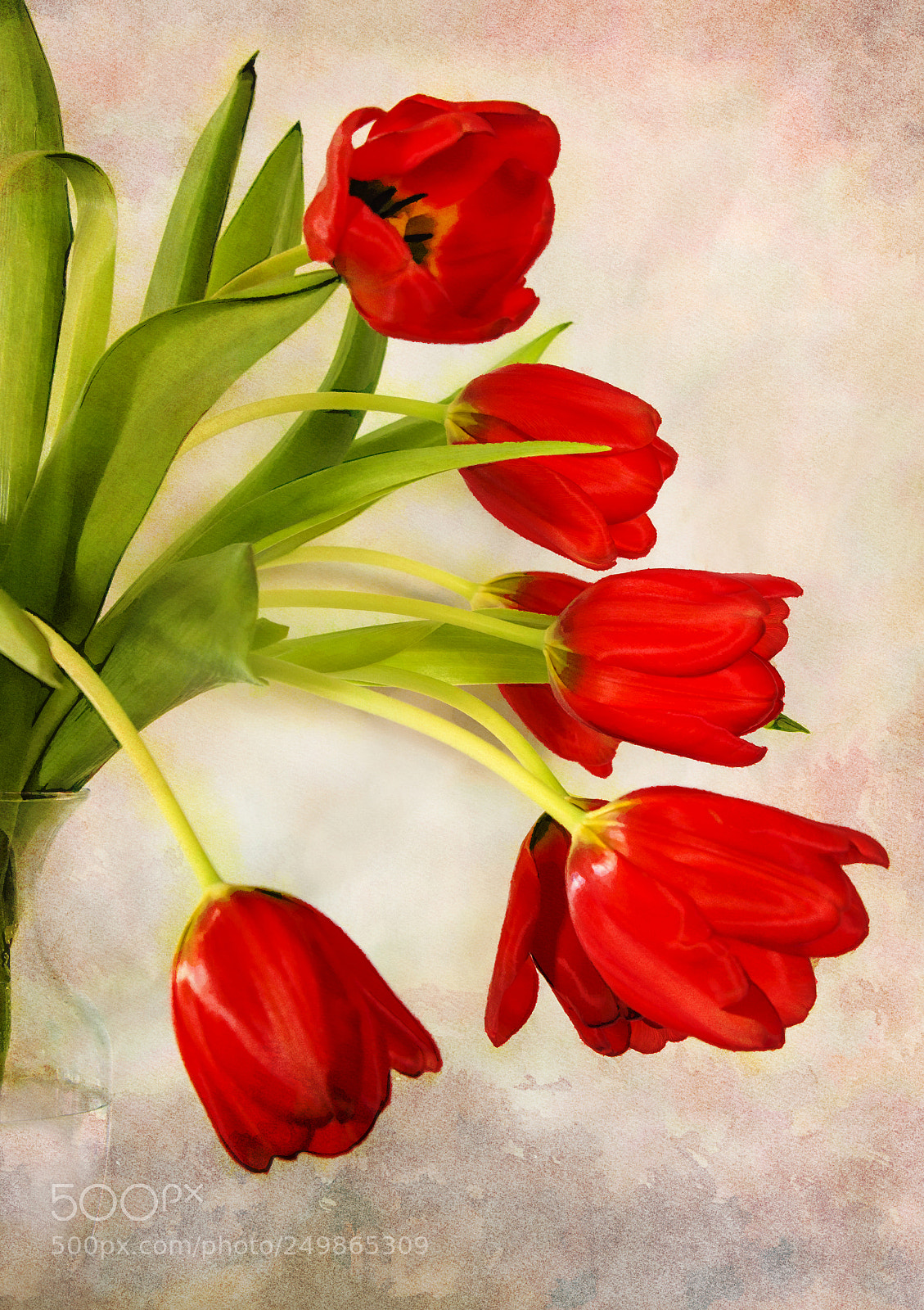 Nikon D800 sample photo. Tulips in a vase photography