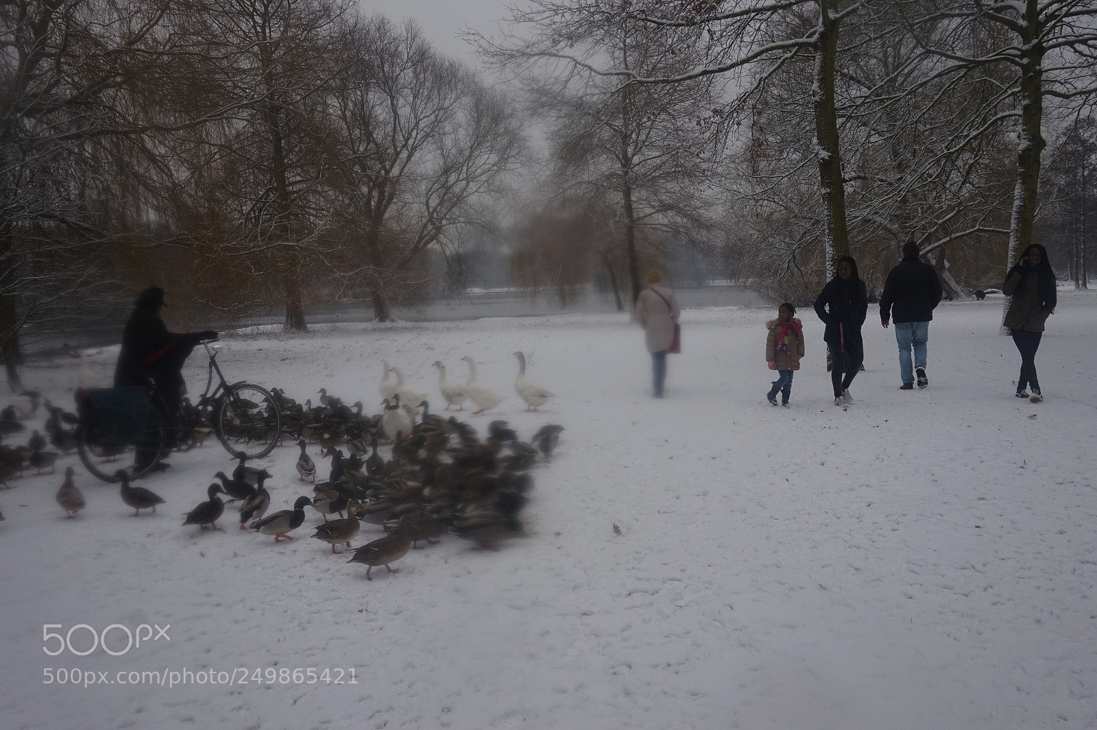 Sony Alpha a5000 (ILCE 5000) sample photo. Untitled photography