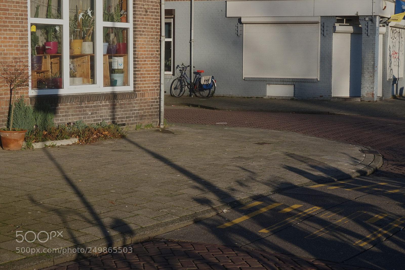 Sony Alpha a5000 (ILCE 5000) sample photo. Untitled photography