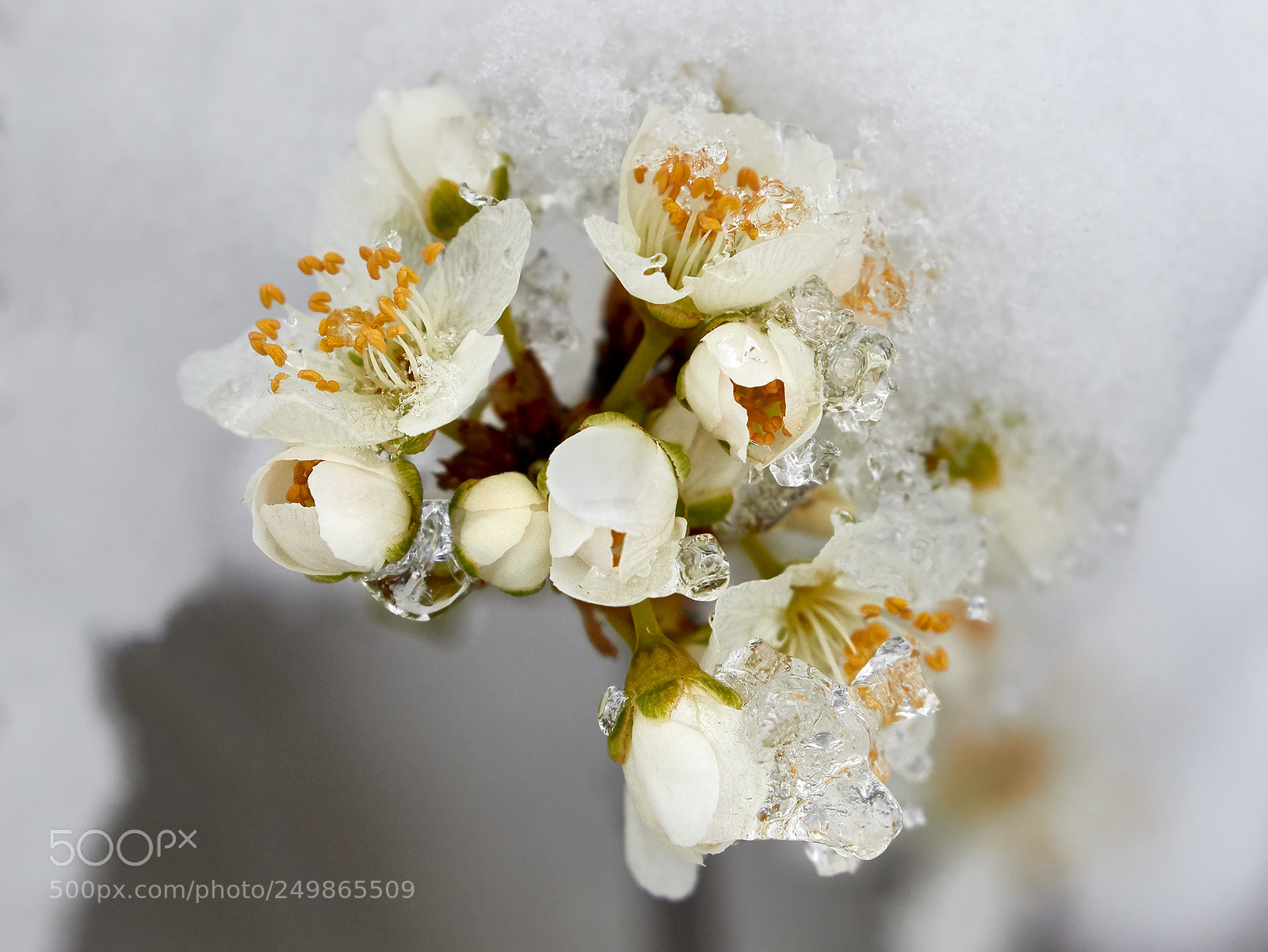 Canon EOS 7D Mark II sample photo. Winter's end photography