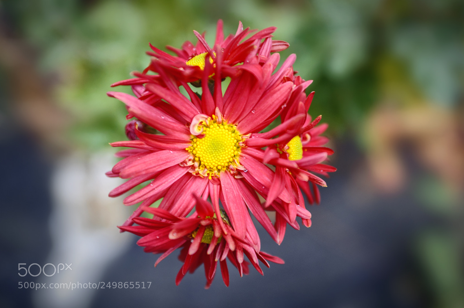 Nikon D90 sample photo. ... photography