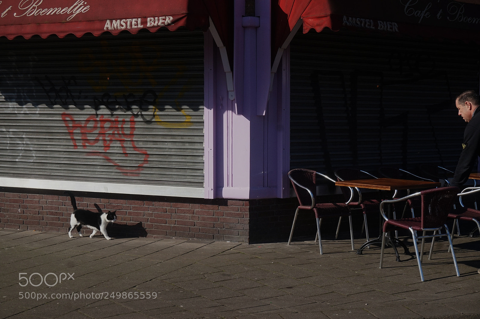 Sony Alpha a5000 (ILCE 5000) sample photo. Untitled photography