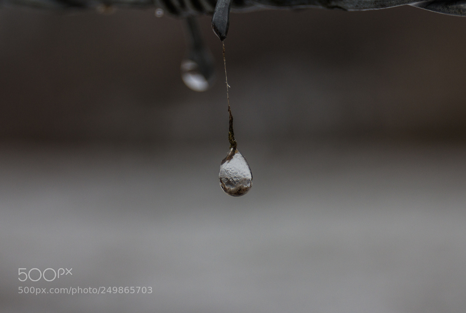 Canon EOS 60D sample photo. Img photography