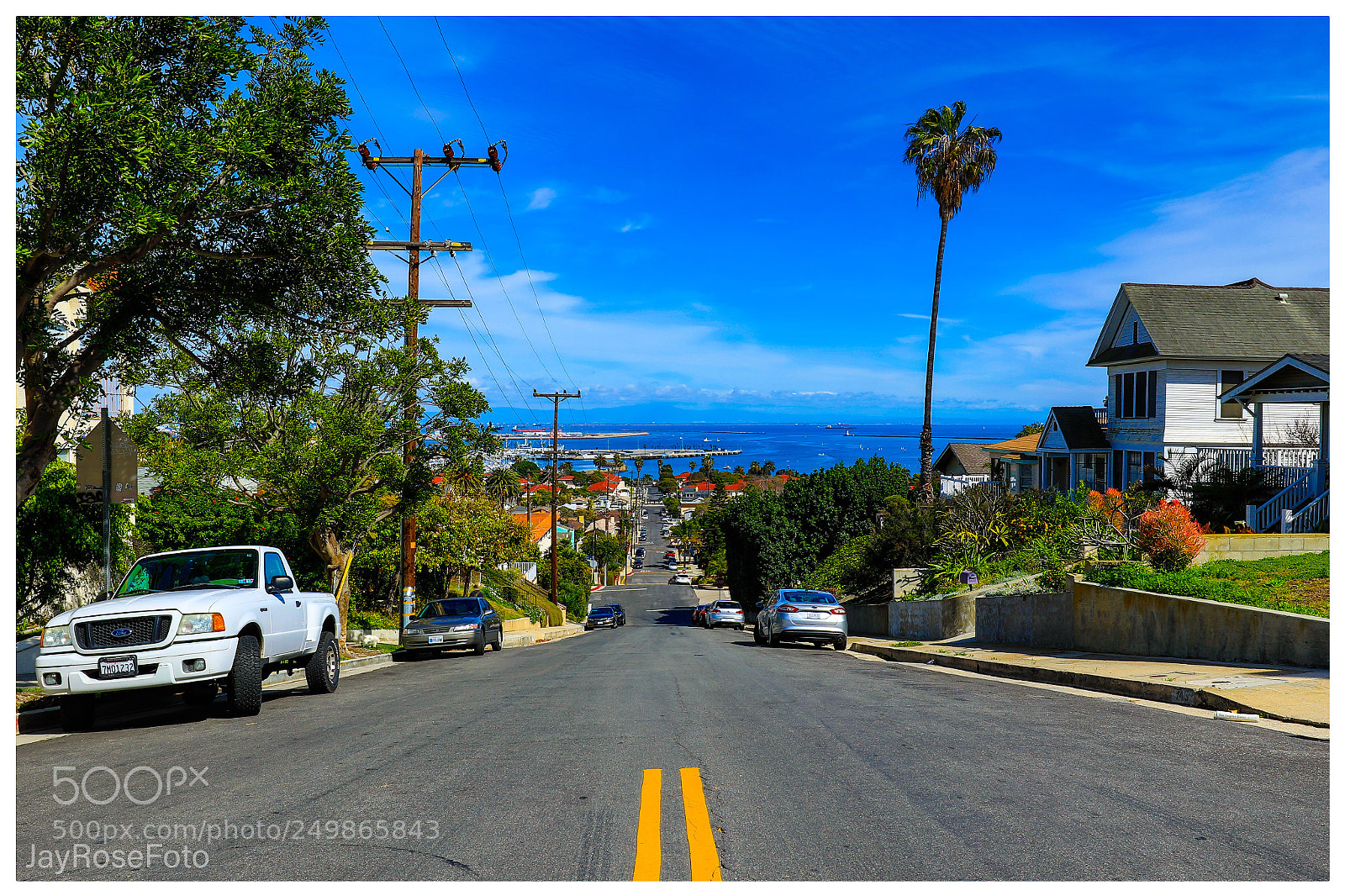 Canon EOS 5DS R sample photo. Street level treetop view photography