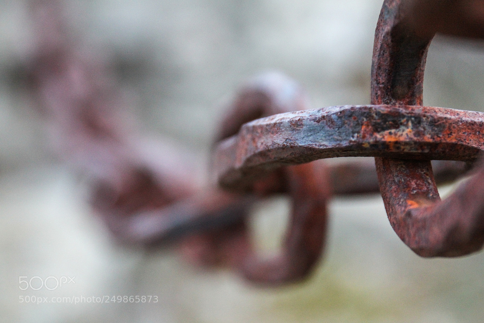Canon EOS 60D sample photo. Img photography