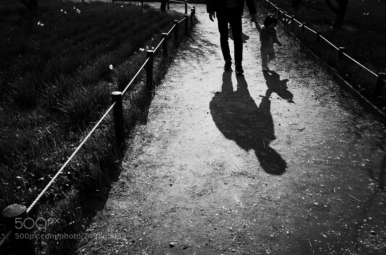 Ricoh GR sample photo. Sunny day photography