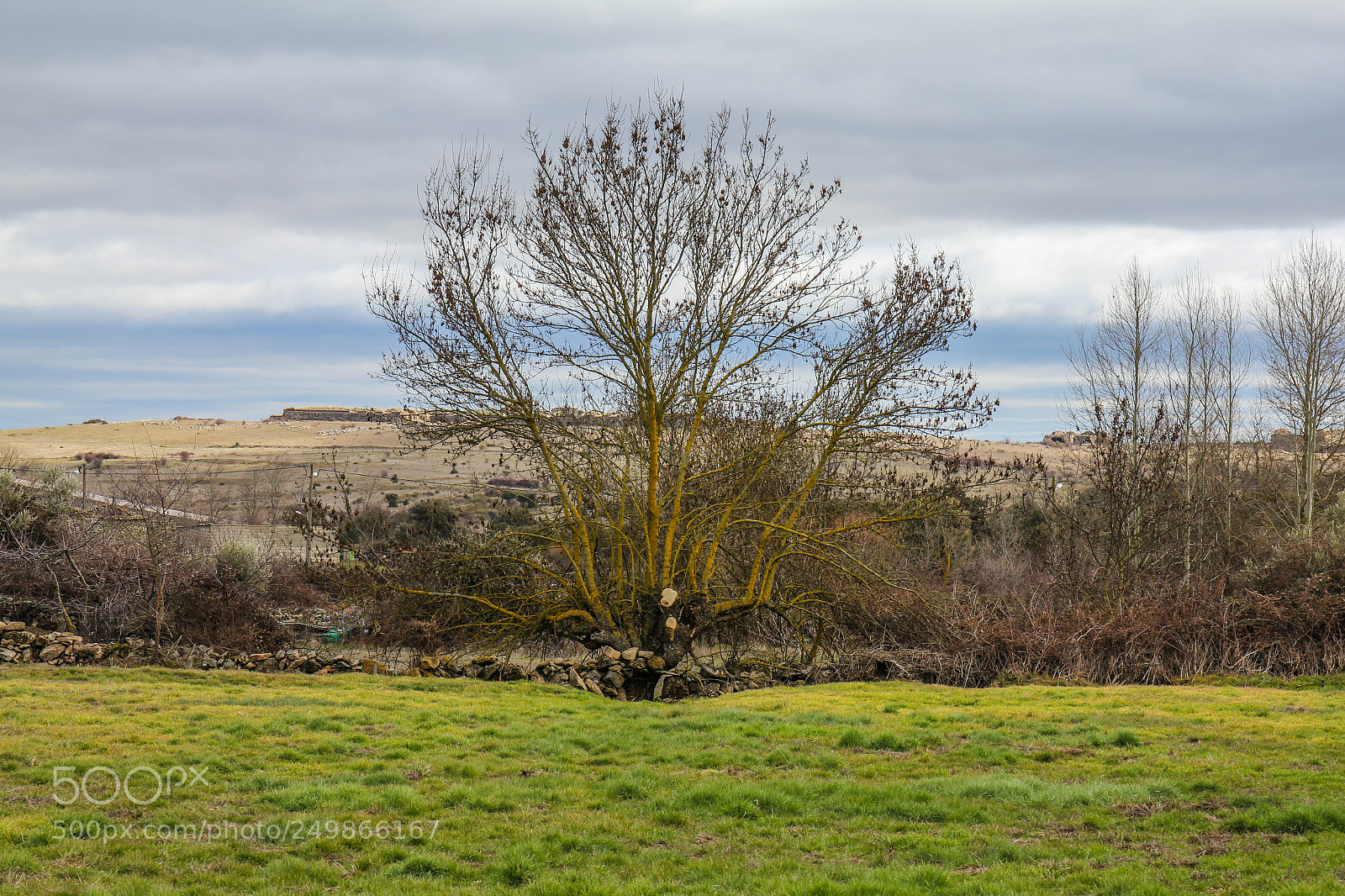 Canon EOS 60D sample photo. Img photography