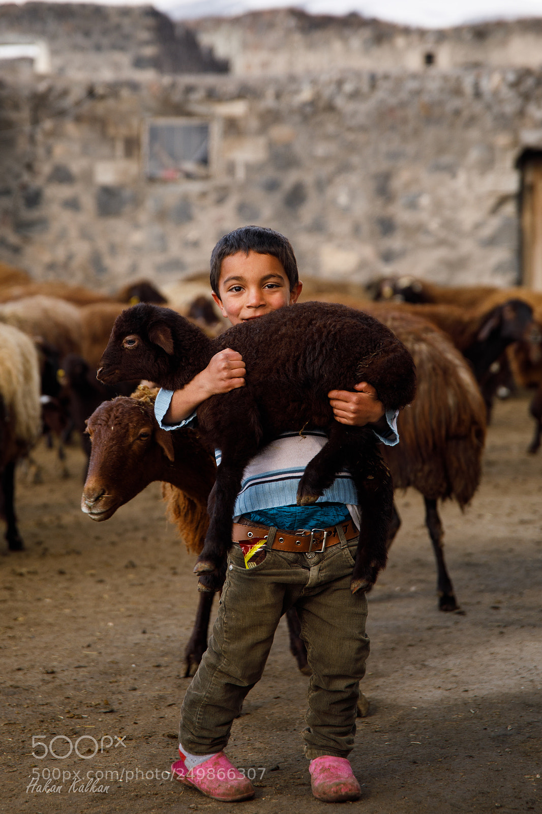 Canon EOS 5D Mark IV sample photo. Emir and his little photography
