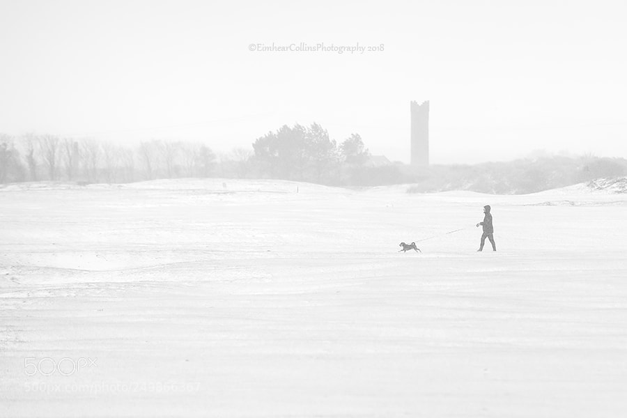 Canon EOS 5D Mark IV sample photo. Beast from the east photography