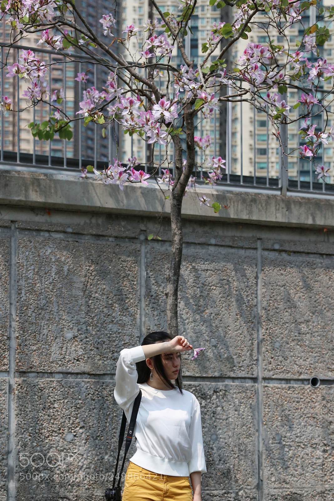 Canon EOS 5DS R sample photo. Flower in my eye photography