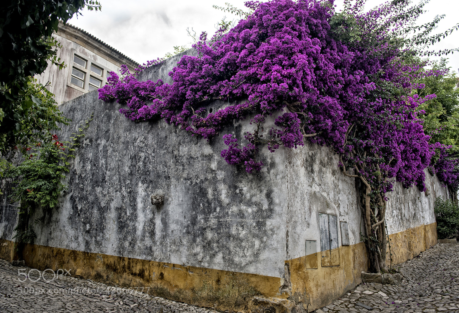 Nikon D810 sample photo. A corner photography