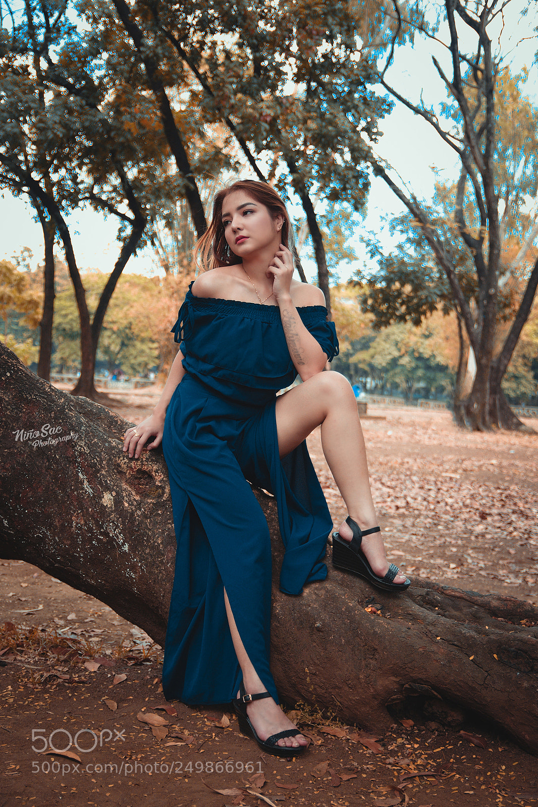 Nikon D7200 sample photo. Seika photography