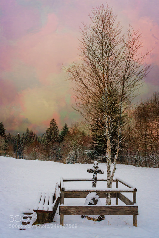 Canon EOS 40D sample photo. Winter colors photography