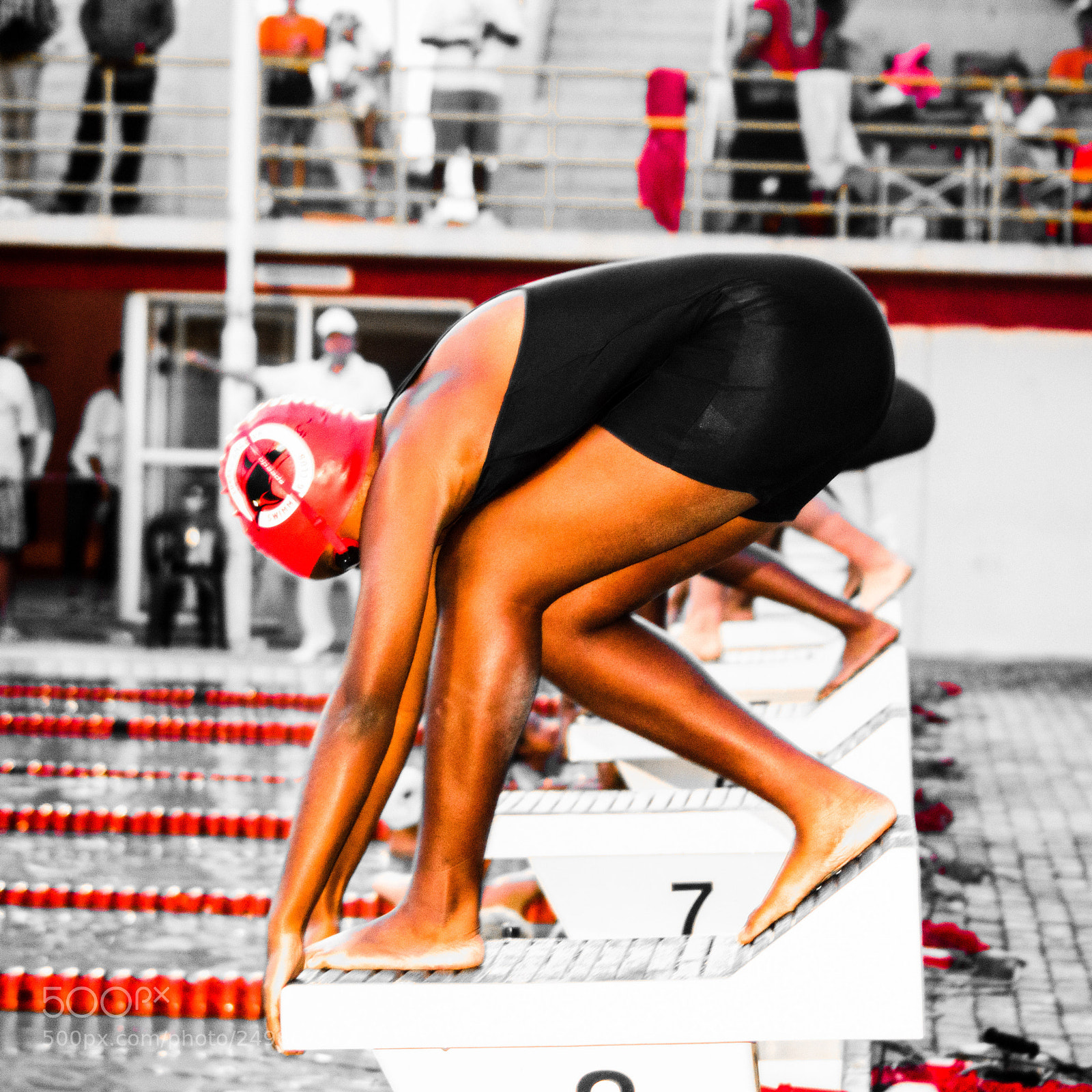 Nikon D3100 sample photo. Red dolphins photography