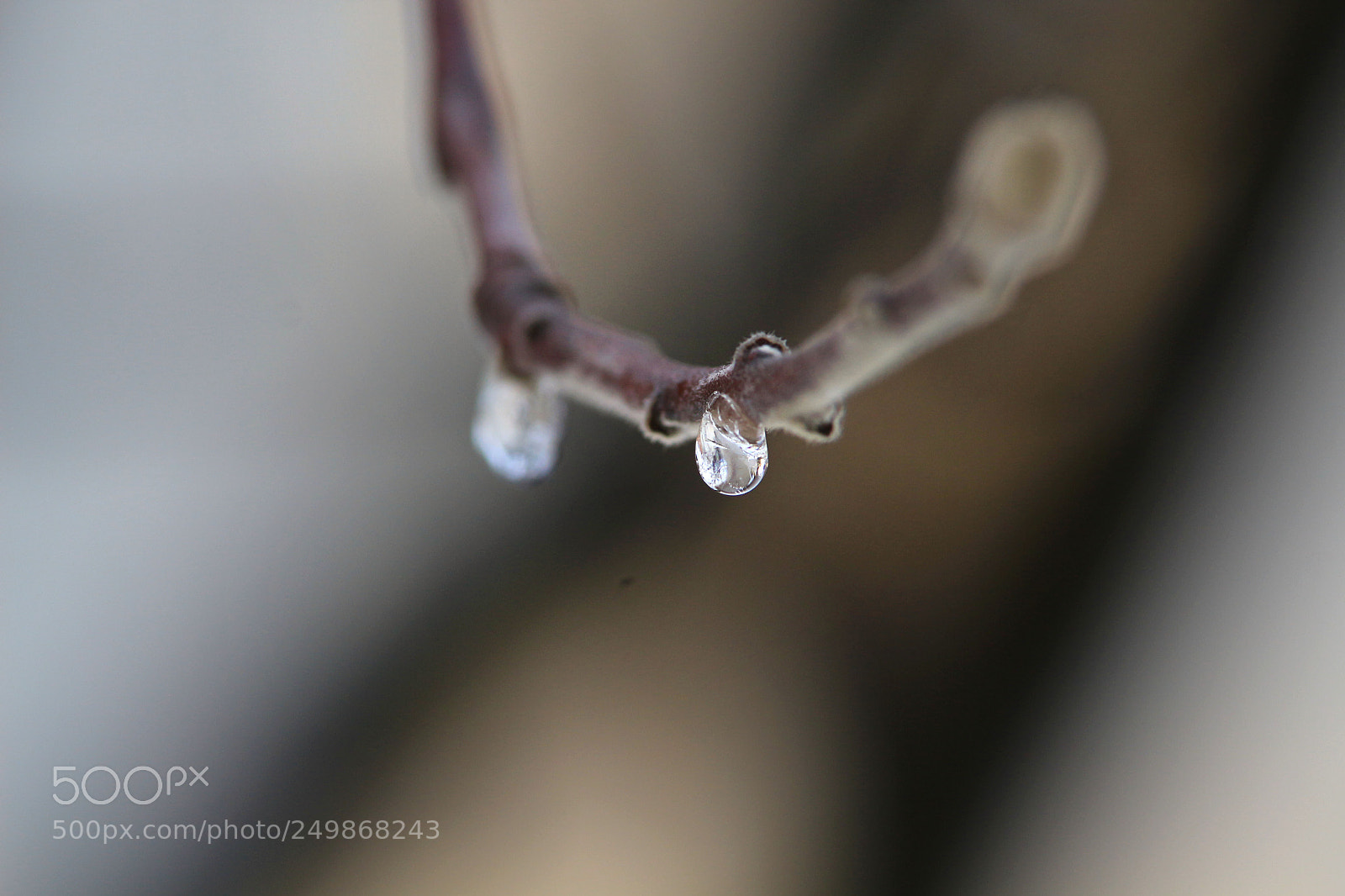 Canon EOS 700D (EOS Rebel T5i / EOS Kiss X7i) sample photo. E photography