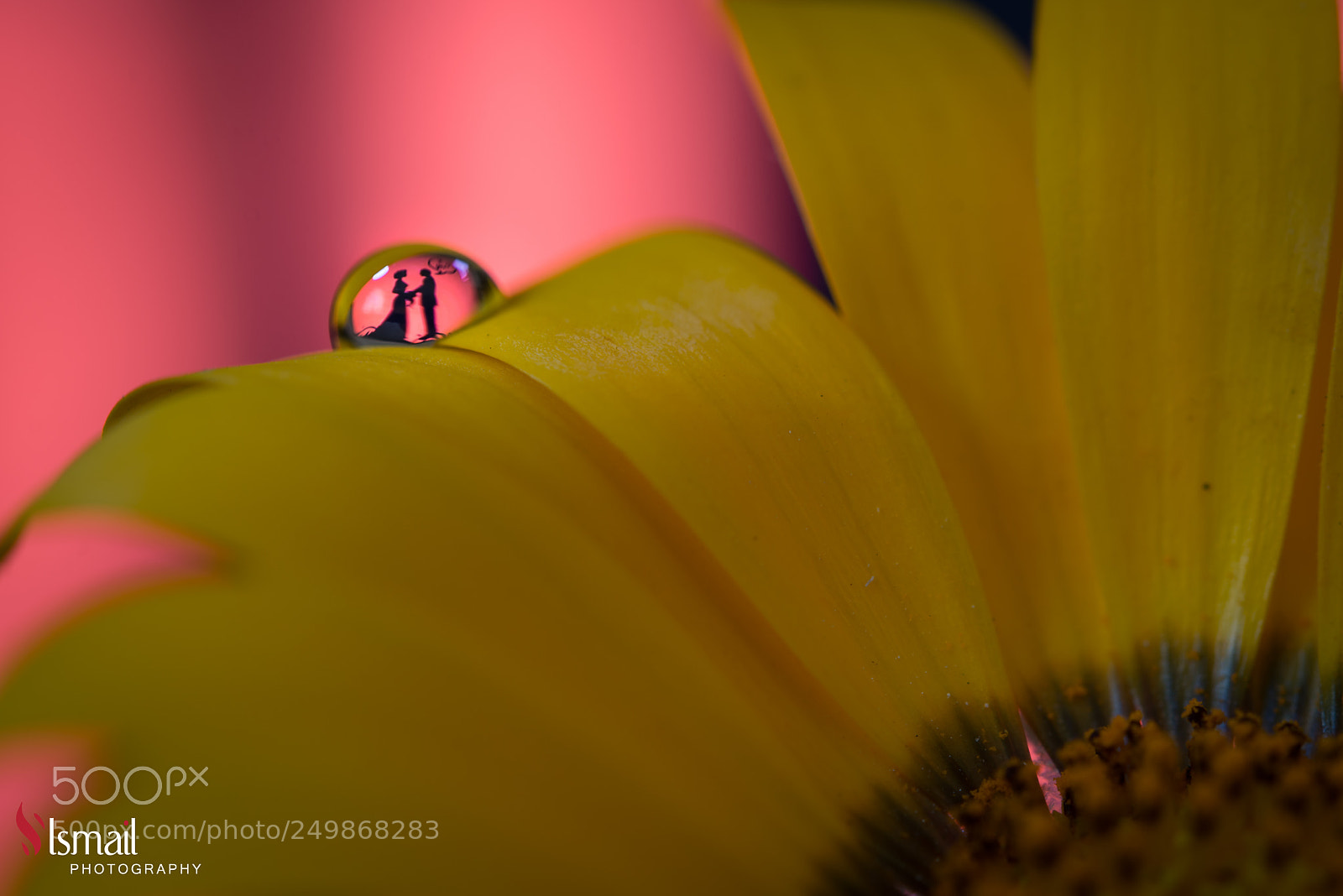 Nikon D800 sample photo. Couple in love photography
