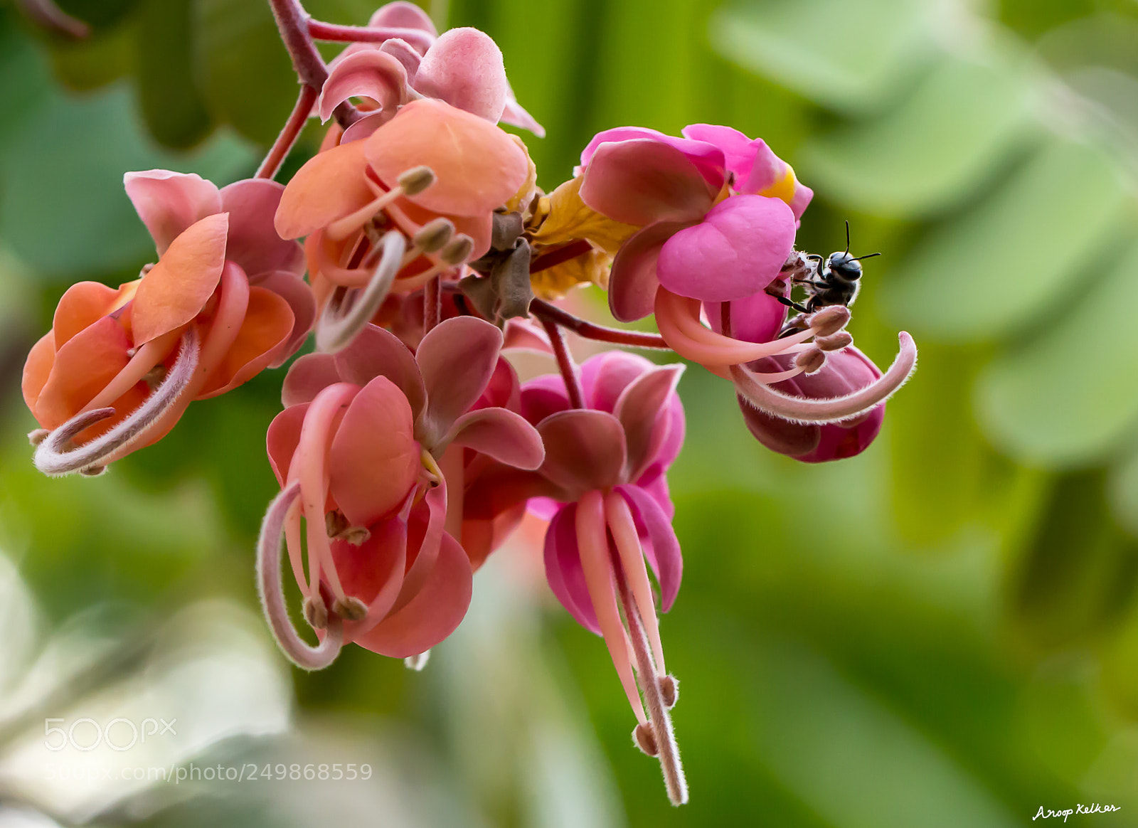 Canon EOS 700D (EOS Rebel T5i / EOS Kiss X7i) sample photo. Ready for a shoot photography