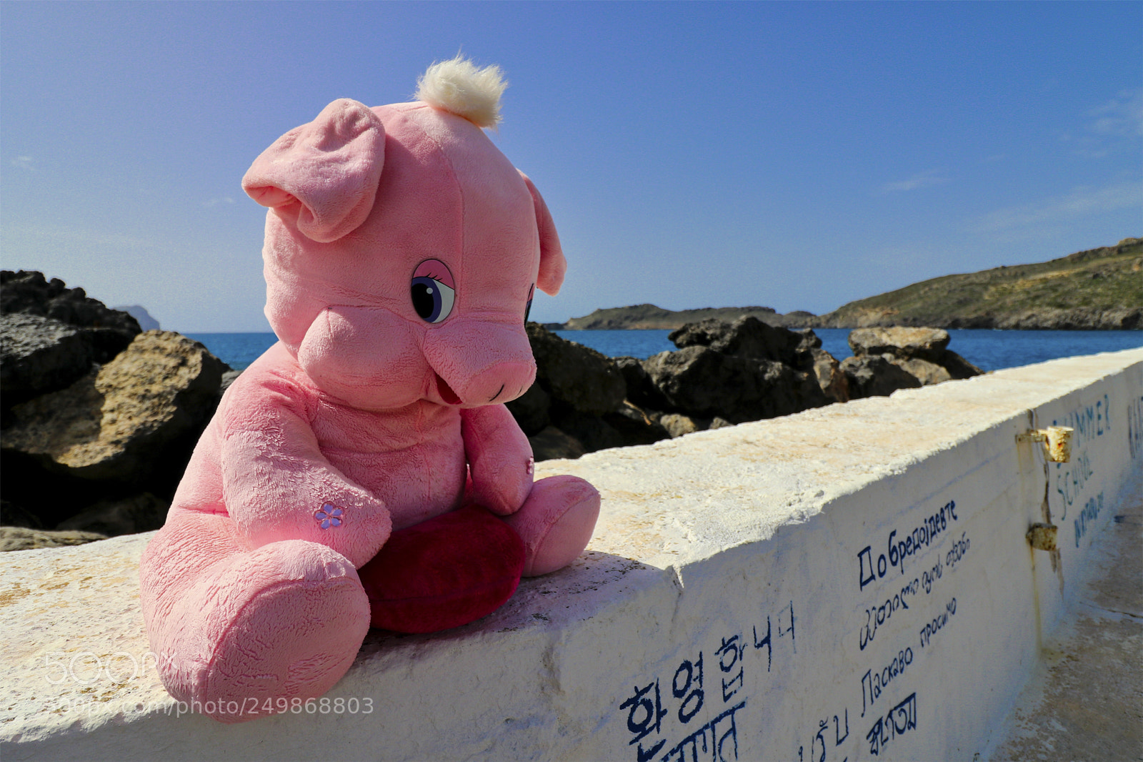 Canon EOS 80D sample photo. The lazy piglet photography