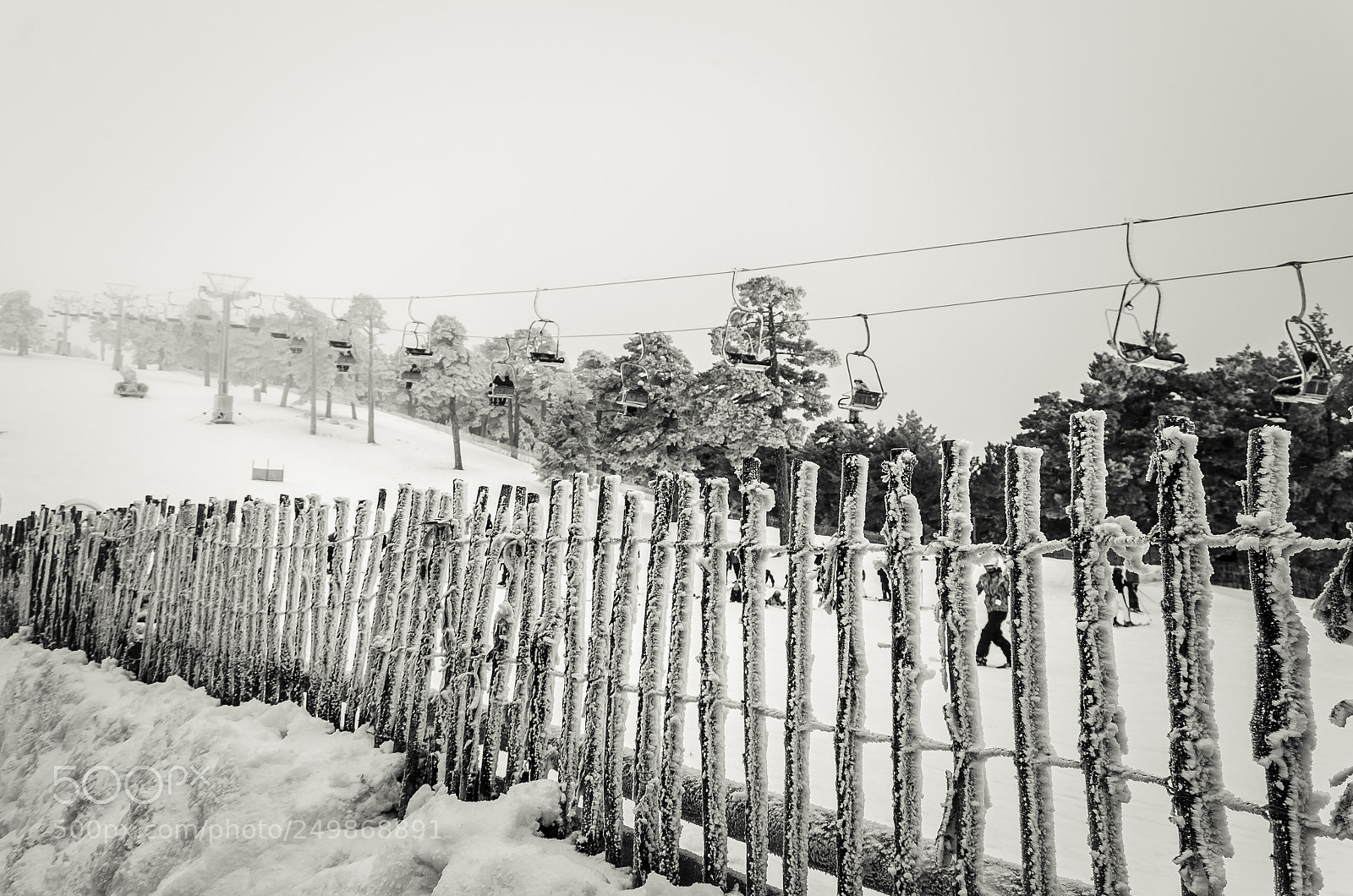 Nikon D5100 sample photo. Navacerrada photography