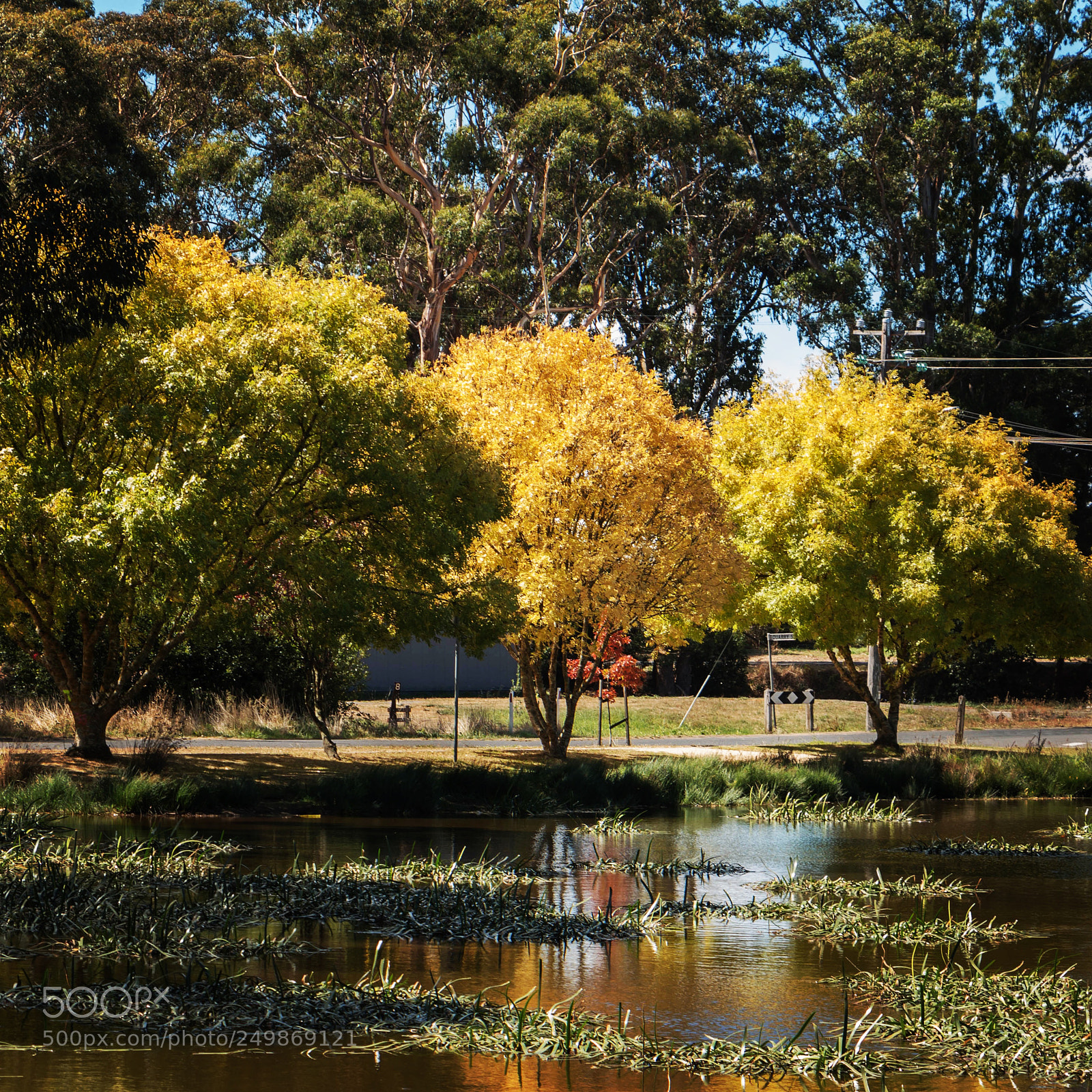 Canon EOS 70D sample photo. Trentham in the fall photography