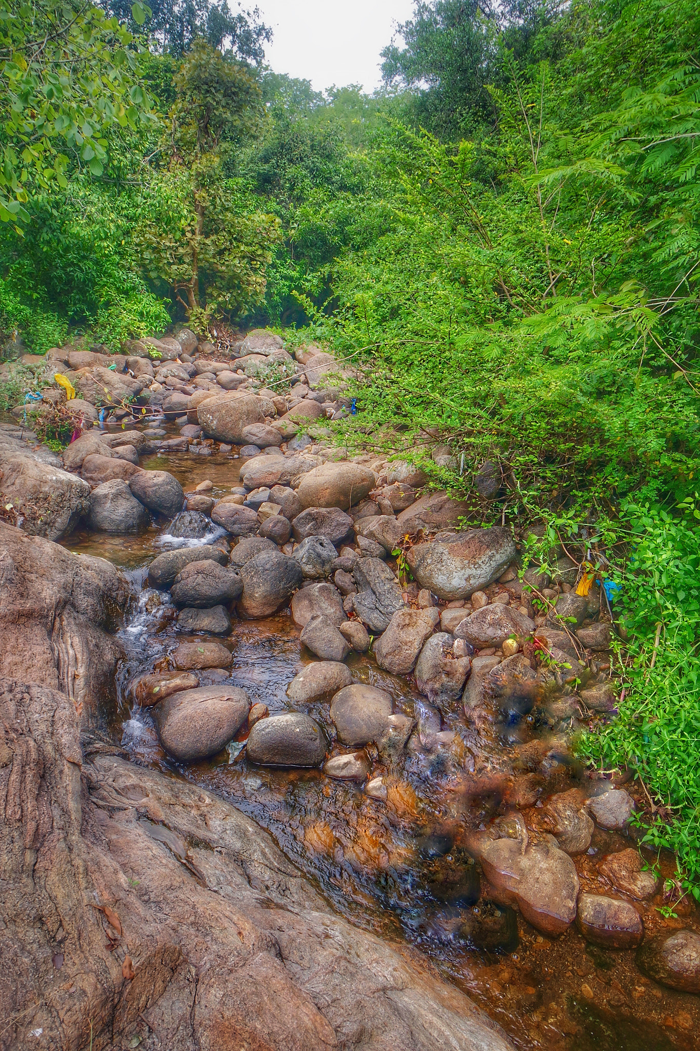 Samsung NX mini sample photo. Look deep into nature , and you will understand everything better. photography