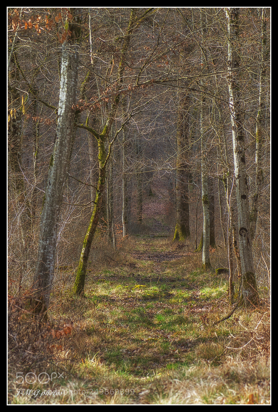 Pentax K-30 sample photo. Venez, entrez! photography