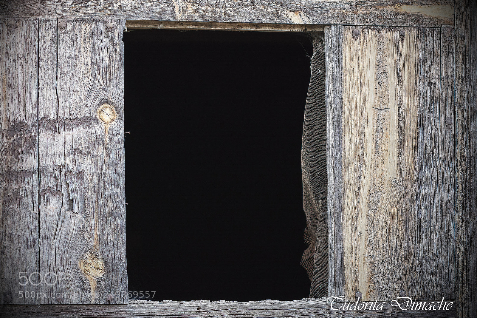 Nikon D7100 sample photo. Twilight zone photography