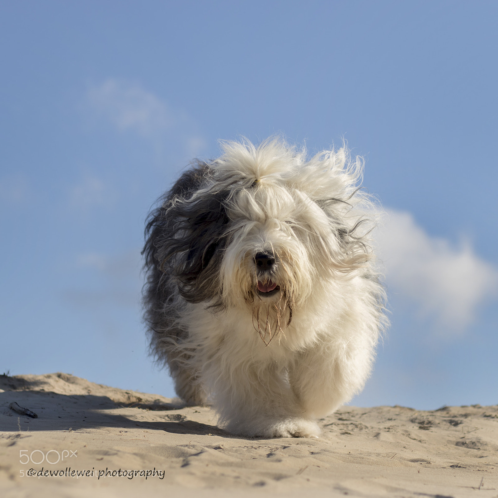 Canon EOS 7D Mark II sample photo. Scarlett photography