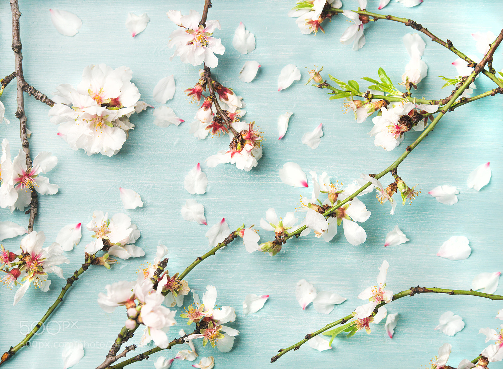 Nikon D610 sample photo. Spring floral background with photography